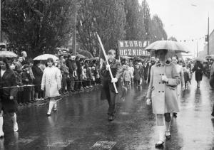 img2494 fot.Piasecki